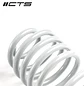 CTS Turbo B8/B8.5 Audi A4/S4 Lowering Spring Set - IMPORTACION RAPIDA - Miniatura 3