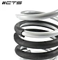CTS Turbo B8/B8.5 Audi A4/S4 Lowering Spring Set - IMPORTACION RAPIDA - Miniatura 4