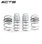 CTS Turbo VW MK7 Jetta GLI Lowering Springs - IMPORTACION RAPIDA - Miniatura 1