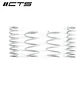 CTS Turbo BMW F30/F32 RWD Lowering Spring Set - IMPORTACION RAPIDA - Miniatura 1