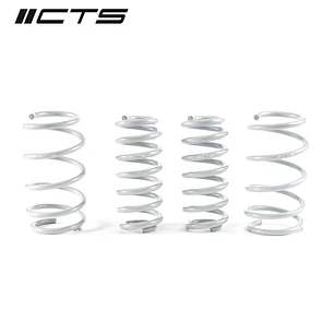 CTS Turbo MK8 Golf R Lowering Spring Set - IMPORTACION RAPIDA