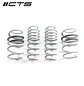 CTS Turbo B9/9.5 Audi SQ5 Lowering Springs - IMPORTACION RAPIDA - Miniatura 1