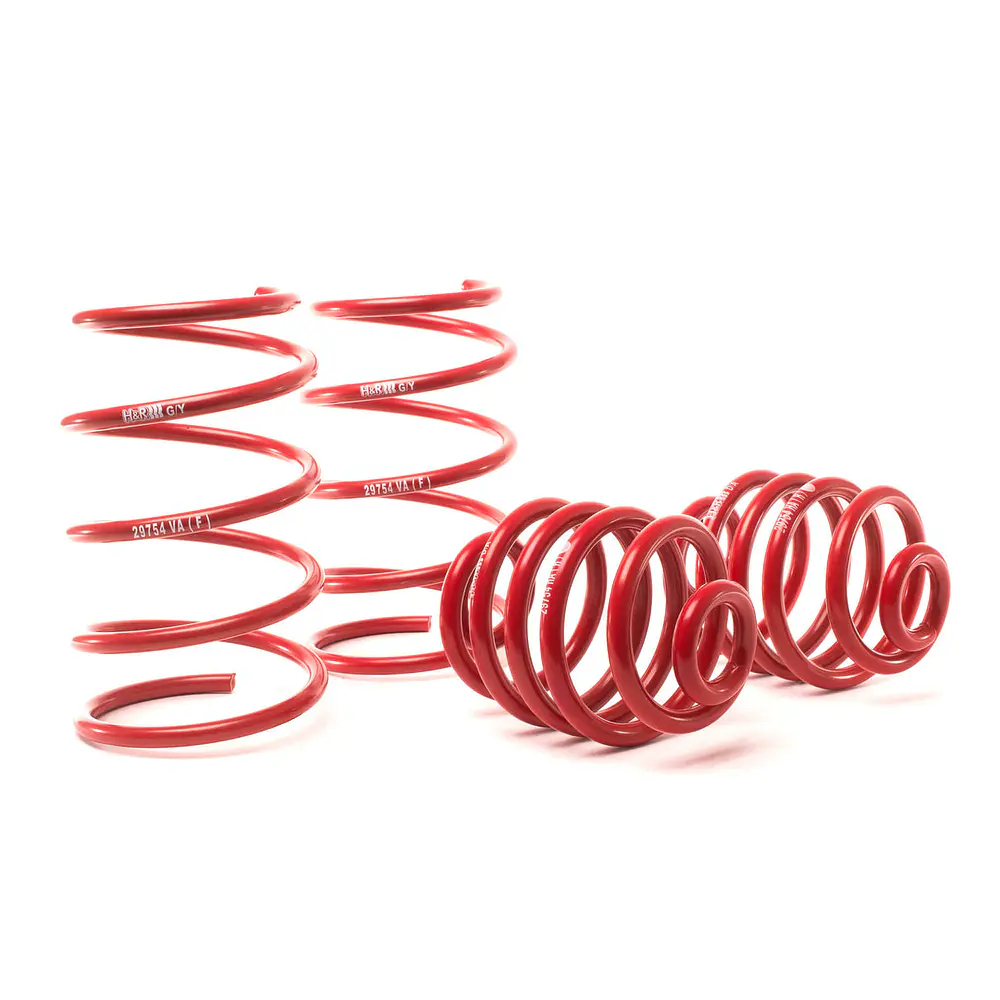 Espirales Sport H&R BMW Z Series E36 Z3 2.5i Z3 2.8 Z3 3.0i 6 Cil - IMPORTACION RAPIDA