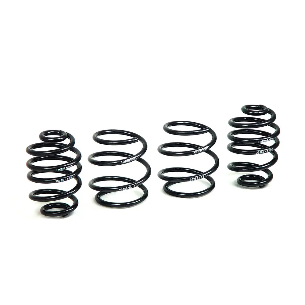 Espirales Sport H&R BMW Z Series E85 Z4 3.0i Z4 2.5i Z4 3.0si - IMPORTACION RAPIDA