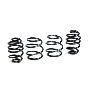 Espirales Sport H&R BMW Z Series E85 Z4 3.0i Z4 2.5i Z4 3.0si - IMPORTACION RAPIDA