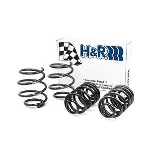Espirales Sport H&R BMW Serie 3 E46 323Ci 323i 325Ci 325i HRS29485 - IMPORTACION RAPIDA