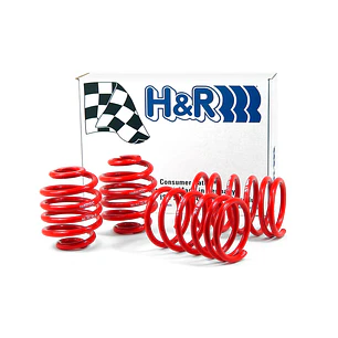 Espirales Race H&R BMW 3 Series E30 318i 318is 325e 325i - IMPORTACION RAPIDA