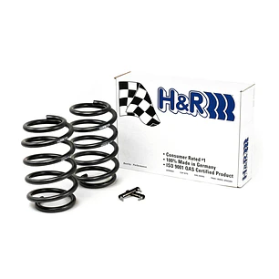 Espirales Sport H&R BMW X Series E53 X5 4.4i X5 3.0i X5 4.6is X5 4.8is - IMPORTACION RAPIDA