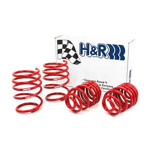 Espirales Race H&R BMW Serie 3 E46 323Ci 323i 325Ci 325i - IMPORTACION RAPIDA