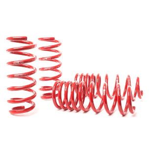 Espirales Super Sport H&R BMW 7 Series F01/F02 740i - IMPORTACION RAPIDA