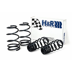 Espirales Sport H&R Ford Mustang Cabrio GT Shelby GT Shelby - IMPORTACION RAPIDA