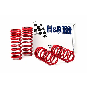 Espirales Race H&R Ford Mustang Cobra V8 - IMPORTACION RAPIDA
