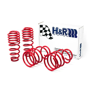 Espirales Race H&R Ford Mustang Cabrio GT Shelby GT Shelby - IMPORTACION RAPIDA