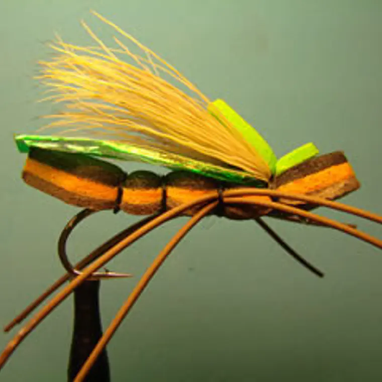 Mosca de goma eva gorda alberta 1