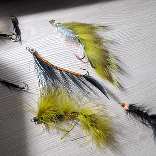 7 moscas Garcia´s fly