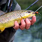 1/3Pcs Fly Fishing Lure Nymph Dry Wet Flies Bionic Bait Fly Trout Fishing Lures - Miniatura 2