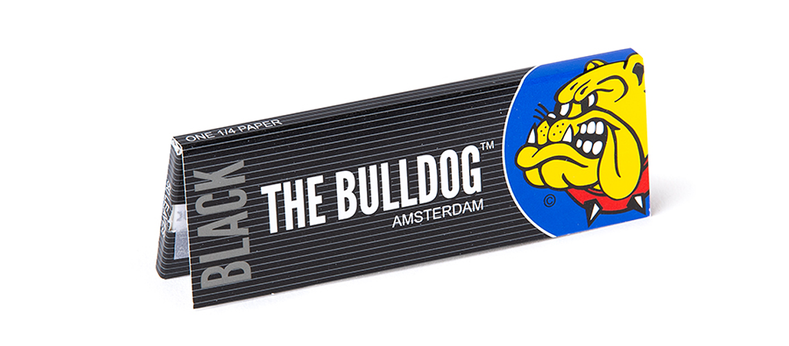 Bulldog Amsterdam