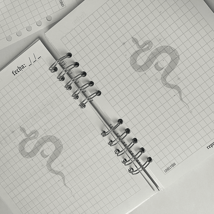 Agenda Taylor Swift Reputation 2