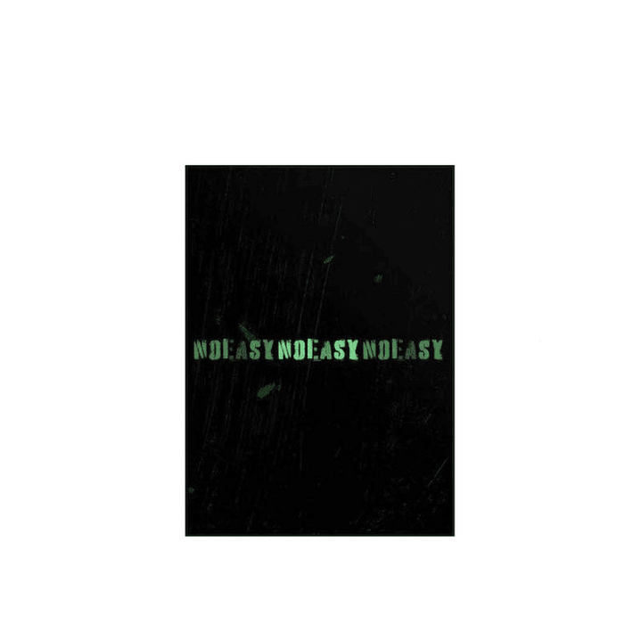 STRAY KIDS - NOEASY 3