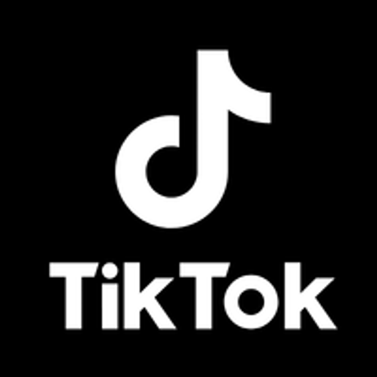 1.000 Seguidores de TikTok 1
