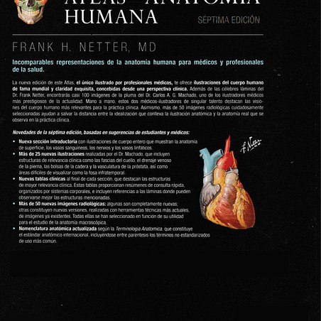 Atlas de anatomía humana, PDF. 16