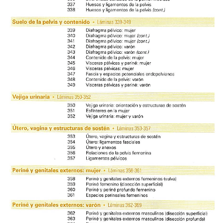 Atlas de anatomía humana, PDF. 11