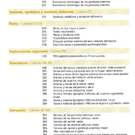 Atlas de anatomía humana, PDF. 12