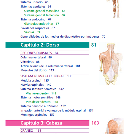 Anatomía clínica PRO, PDF 3