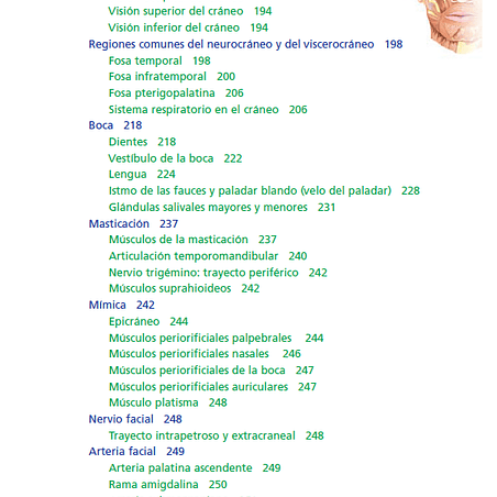 Anatomía clínica PRO, PDF 4