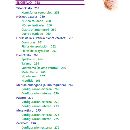 Anatomía clínica PRO, PDF 5