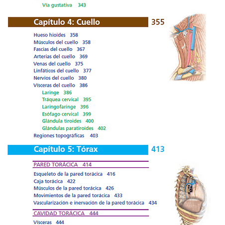 Anatomía clínica PRO, PDF 7