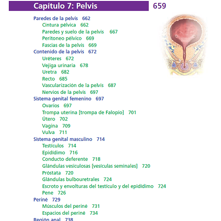 Anatomía clínica PRO, PDF 9