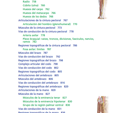 Anatomía clínica PRO, PDF 10