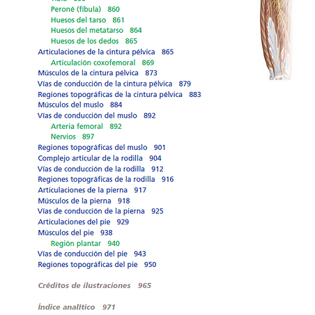 Anatomía clínica PRO, PDF 11