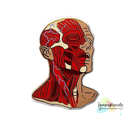 Pin Motricidad Orofacial  1