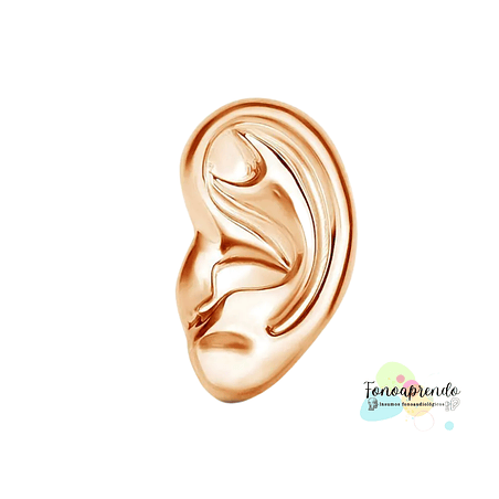 Broche Pabellón / Oreja 1