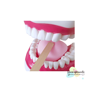 Baja lengua - Acero inoxidable