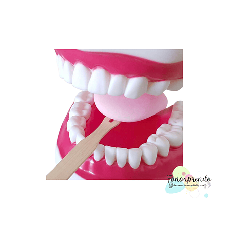 Baja lengua - Acero inoxidable 3