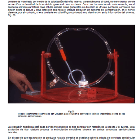 Equilibriometría y tinnitología práctica, PDF. 4