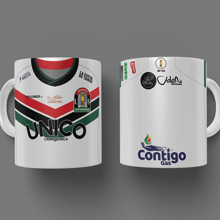 Plantilla Lota Schwager Local 2025 1