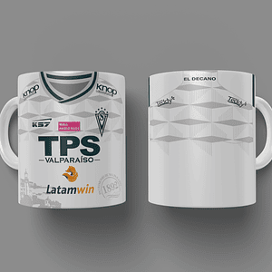 Plantilla Santiago Wanderers Visita 2025