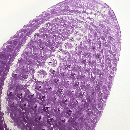 Plantilla Patinaje Artistico