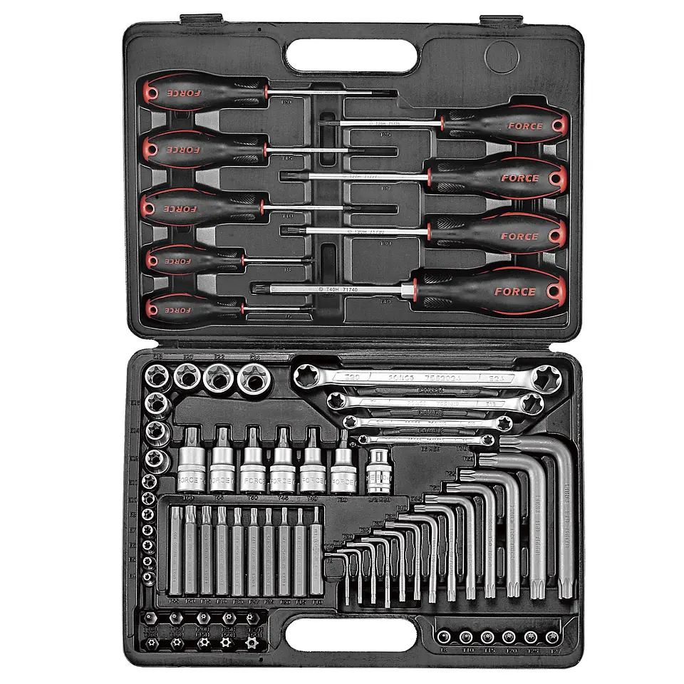 JUEGO DADOS/LLAVES TORX 73 PZAS.  (4731) 1
