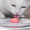 Fuente Dispensador Agua Kittyspring Bebedero Gatos Kitty