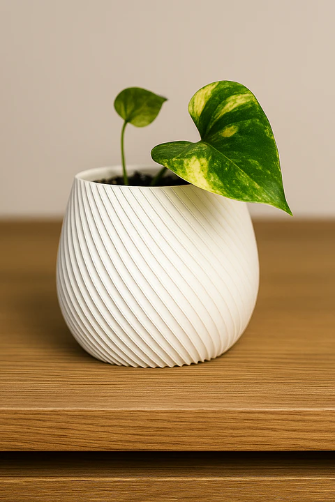 SPIRAL