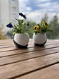 DUO BALANCE - Miniatura 1