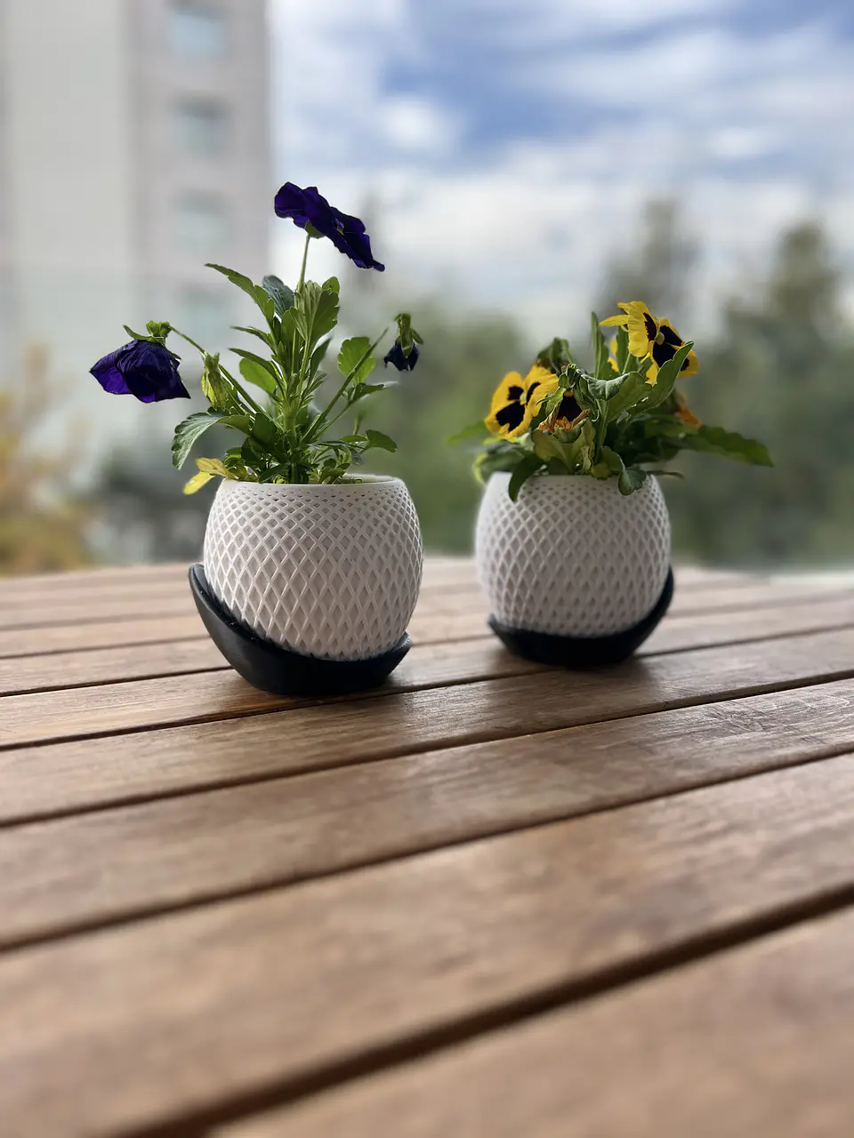 DUO BALANCE 1