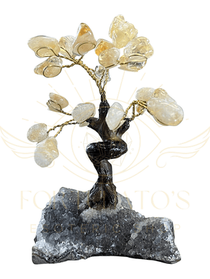 Árvore de Gemas Citrino com Base de Drusa – Prosperidade e Energia Positiva