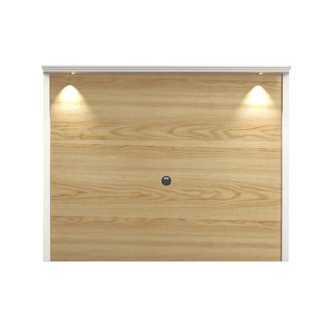 Panel Dion