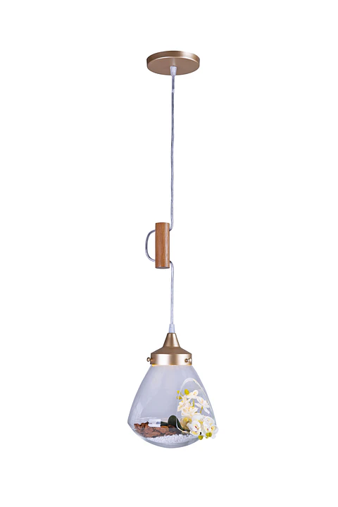 Lampara Colgante Terrario  1L 2961/1Ct/Dr